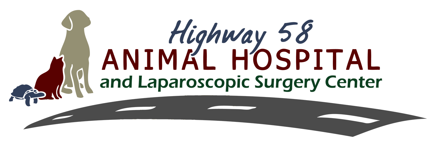 Highway 58 Animal Hospital